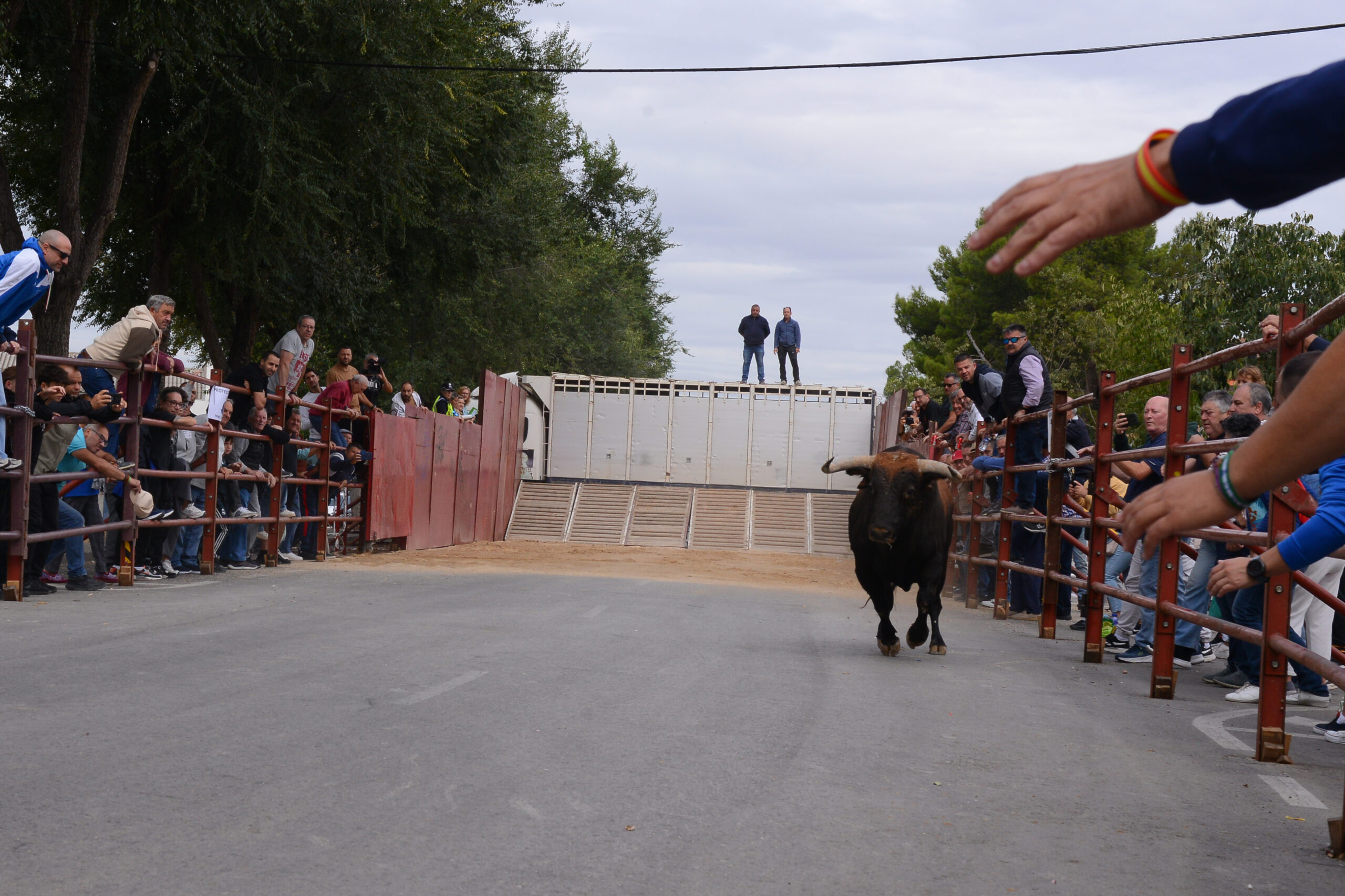 Encierro martes