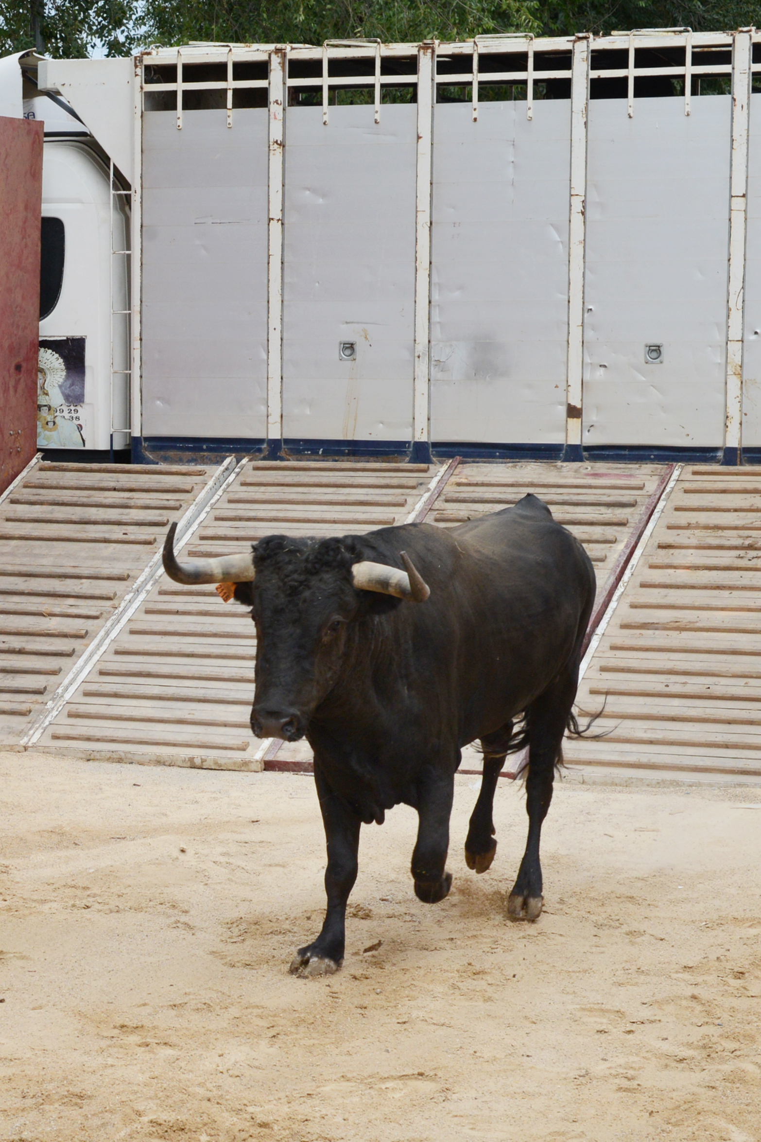 Encierro martes