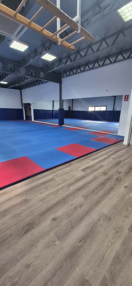 20251001 tatami deportes (1)