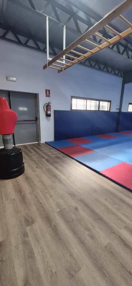 20251001 tatami deportes (2)