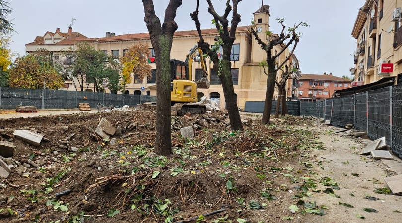 20251029 arboles plaza web