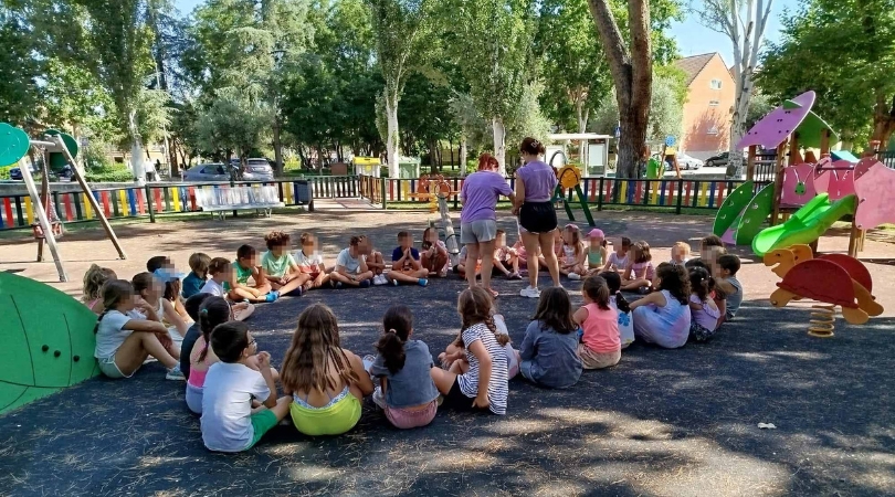 20253008 campamento educacion web
