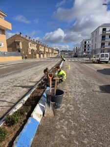 20260114 mediana calle nicosia (1)