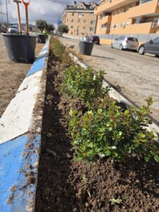 20260114 mediana calle nicosia (3)