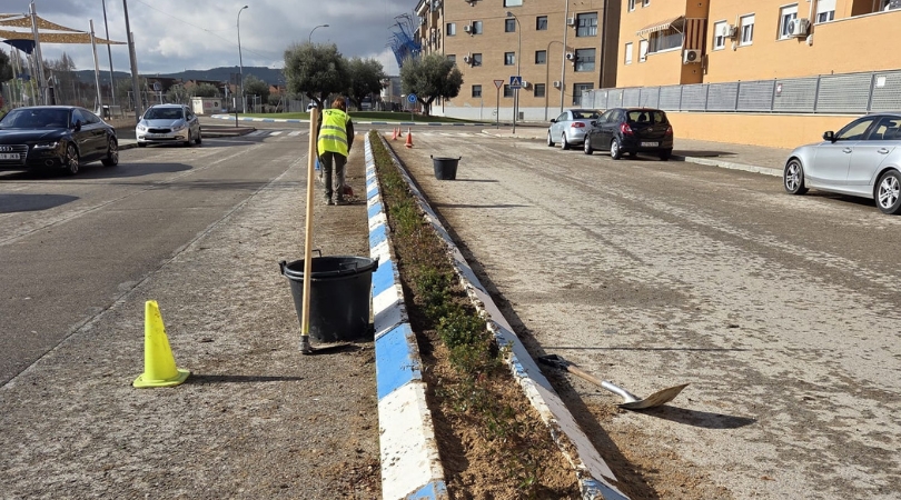 20260114 mediana nicosia web