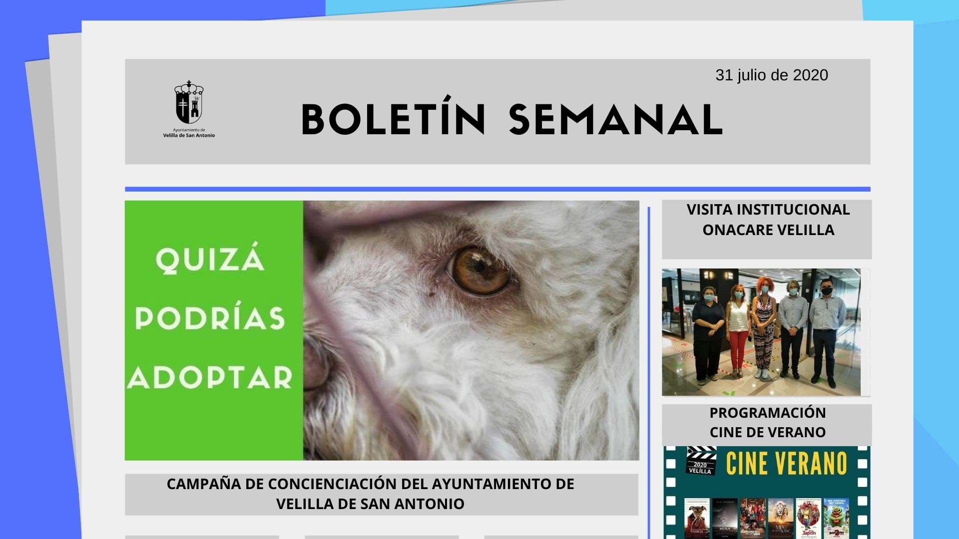 Boletín Semanal 31/2020