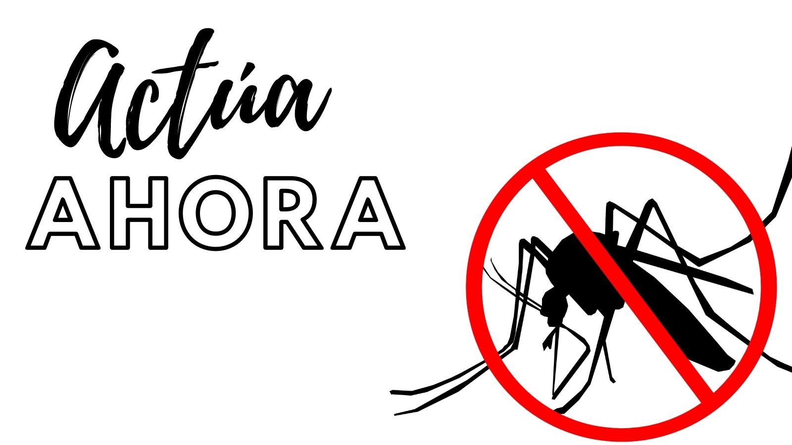 Actúa contra el mosquito tigre, es el momento