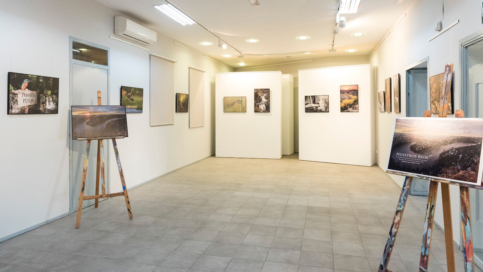 Exposición Fonamad “Nuestros ríos: caminos de agua, refugios de vida”