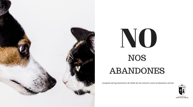 “NO NOS ABANDONES”. Campaña del Ayuntamiento de Velilla de San Antonio contra el abandono de los animales
