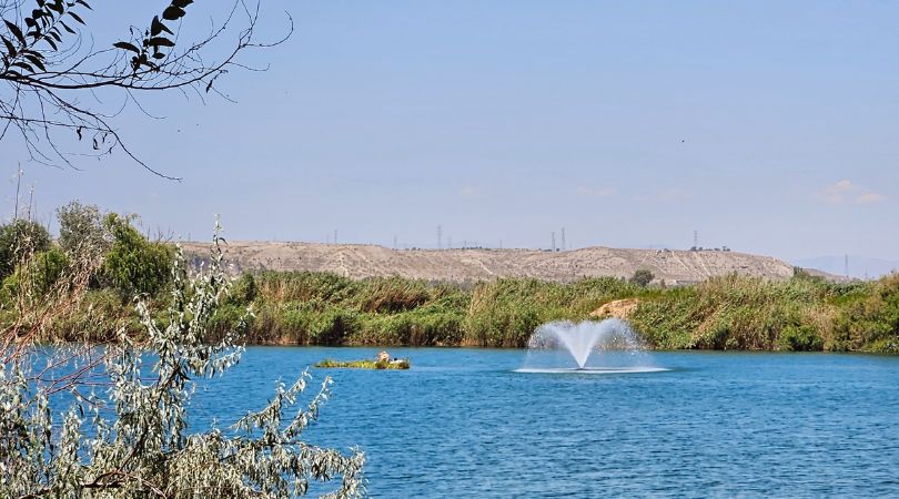 Finalizada la restauración de las islas flotantes de la laguna El Raso