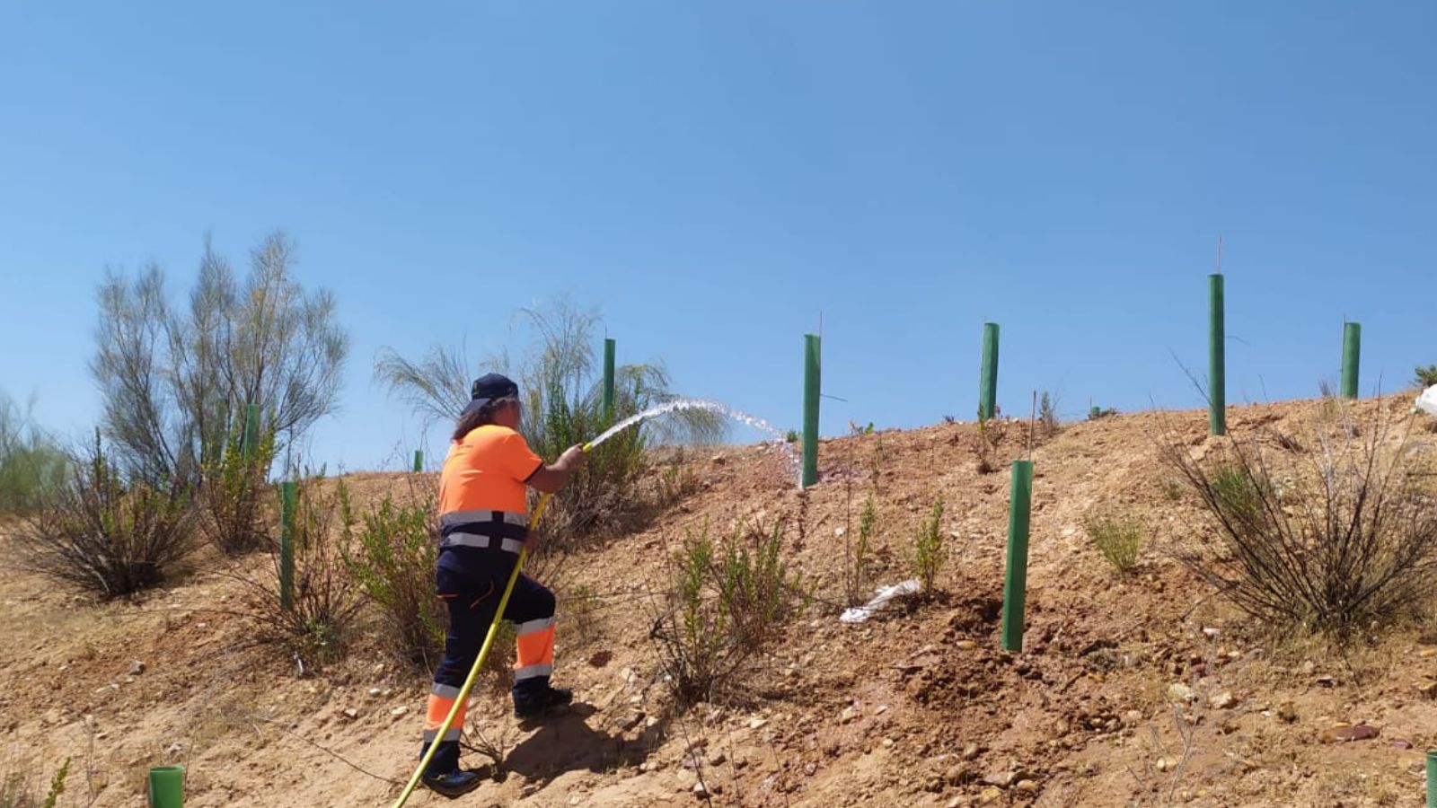 Riegos de la nueva zona forestal del Sector XXIII