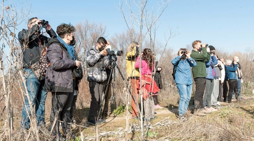 Ruta de observación de aves