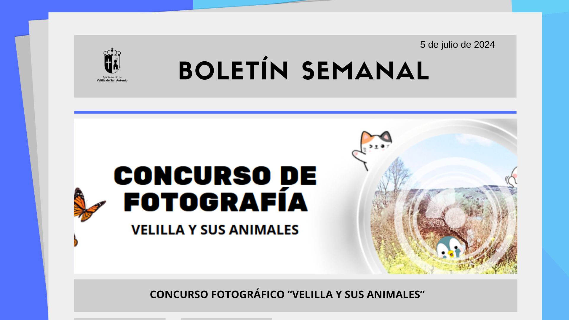 Boletín Semanal 26/2024