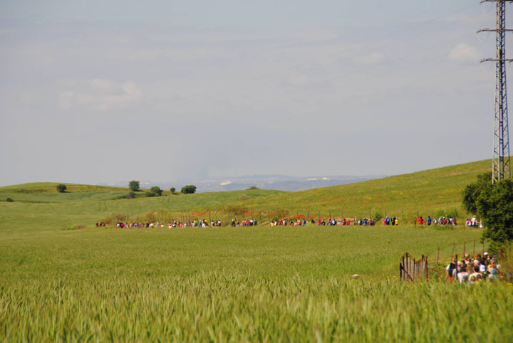 Camino de Cervantes (4)