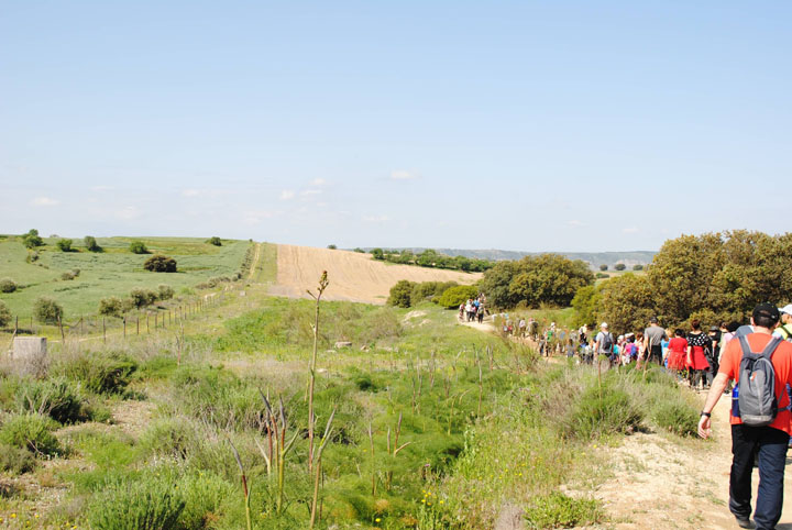 Camino de Cervantes (5)