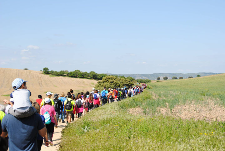 III Camino de Cervantes