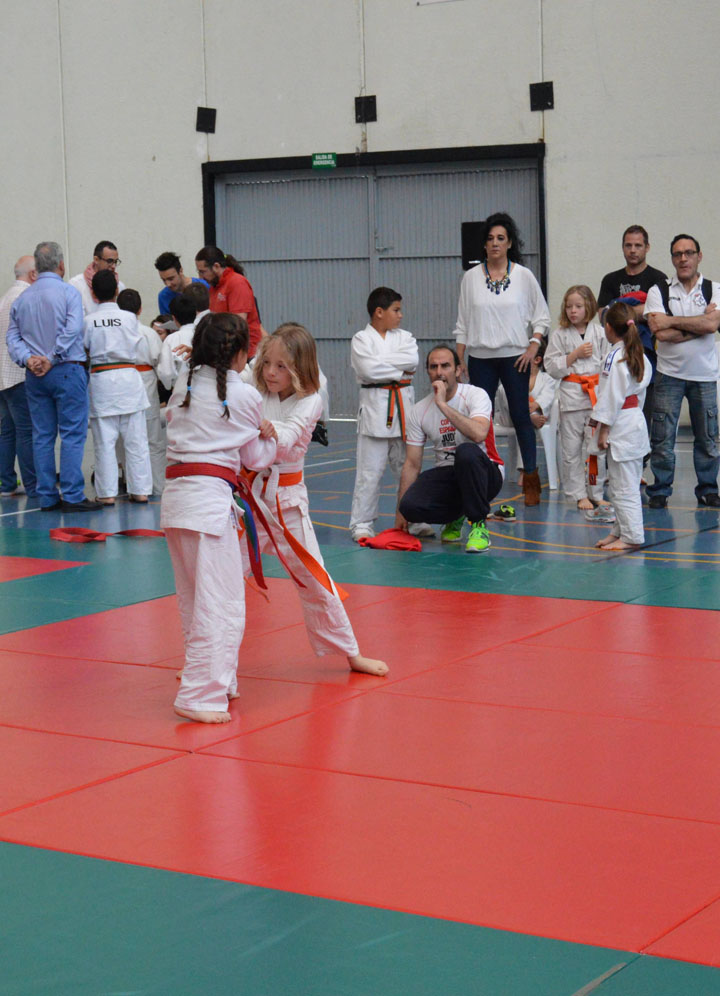 Campeonato de Primavera de Judo (22)