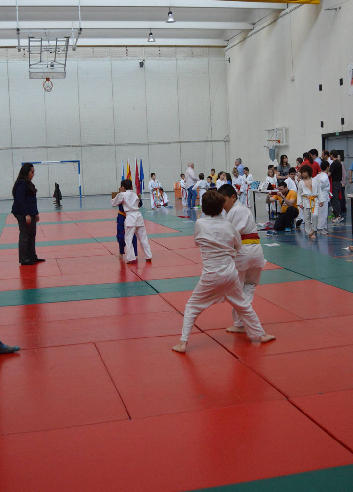 Campeonato de Primavera de Judo (24)