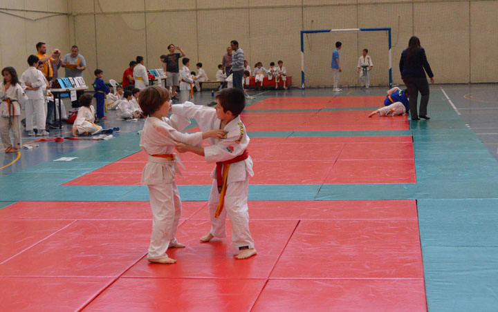 Campeonato de Primavera de Judo (25)