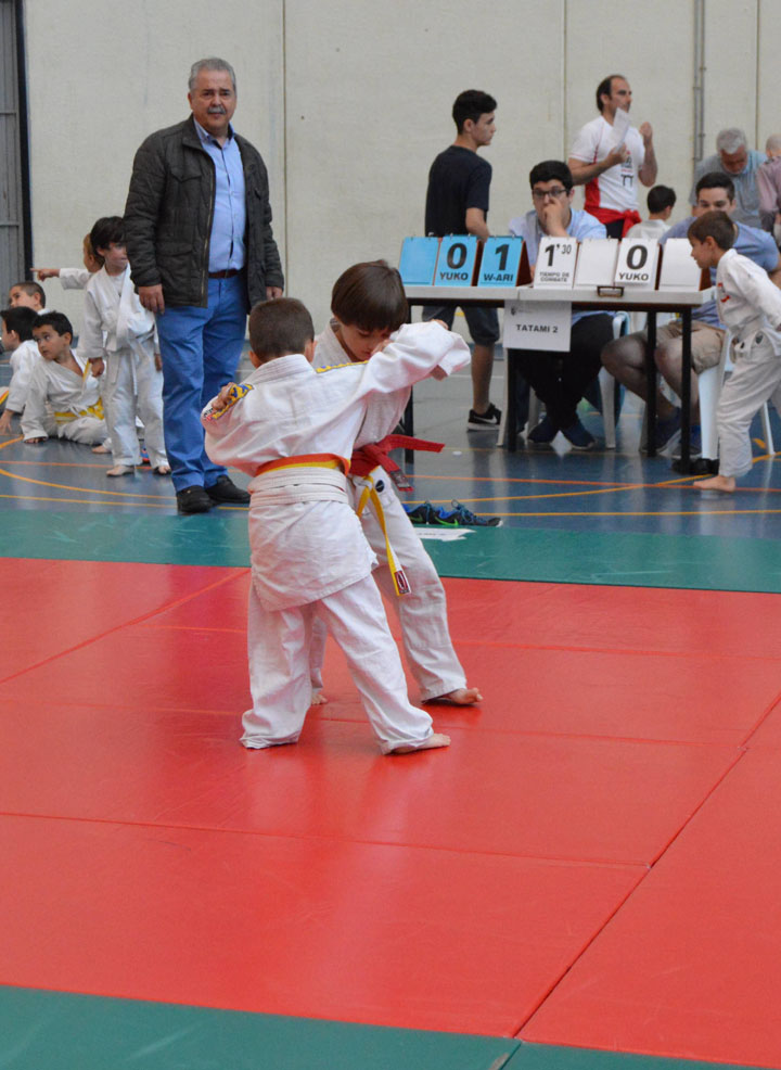 Campeonato de Primavera de Judo (36)