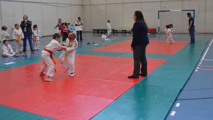 Campeonato de Primavera de Judo (37)