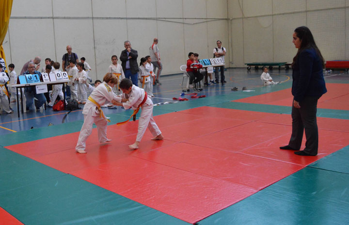 Campeonato de Primavera de Judo (38)