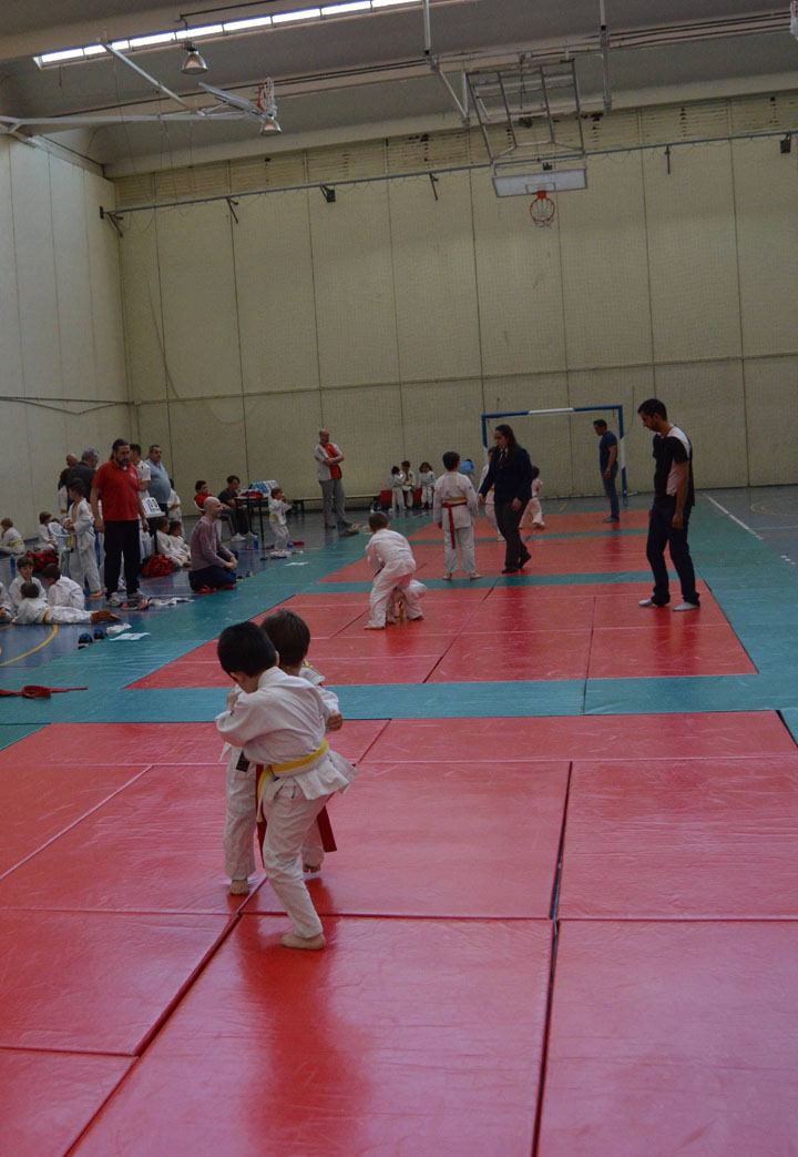 2016 Campeonato de Primavera de Judo