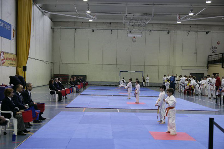 Campeonato kárate (13)