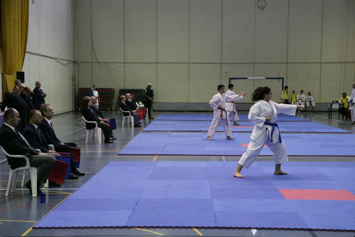 Campeonato kárate (14)