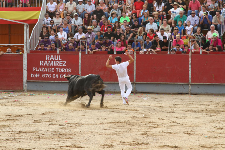 Concurso de recortes (6)