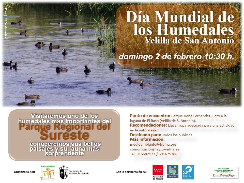 El 2 de febrero celebraremos el Día Mundial de los Humedales con una visita guiada por las lagunas de Velilla