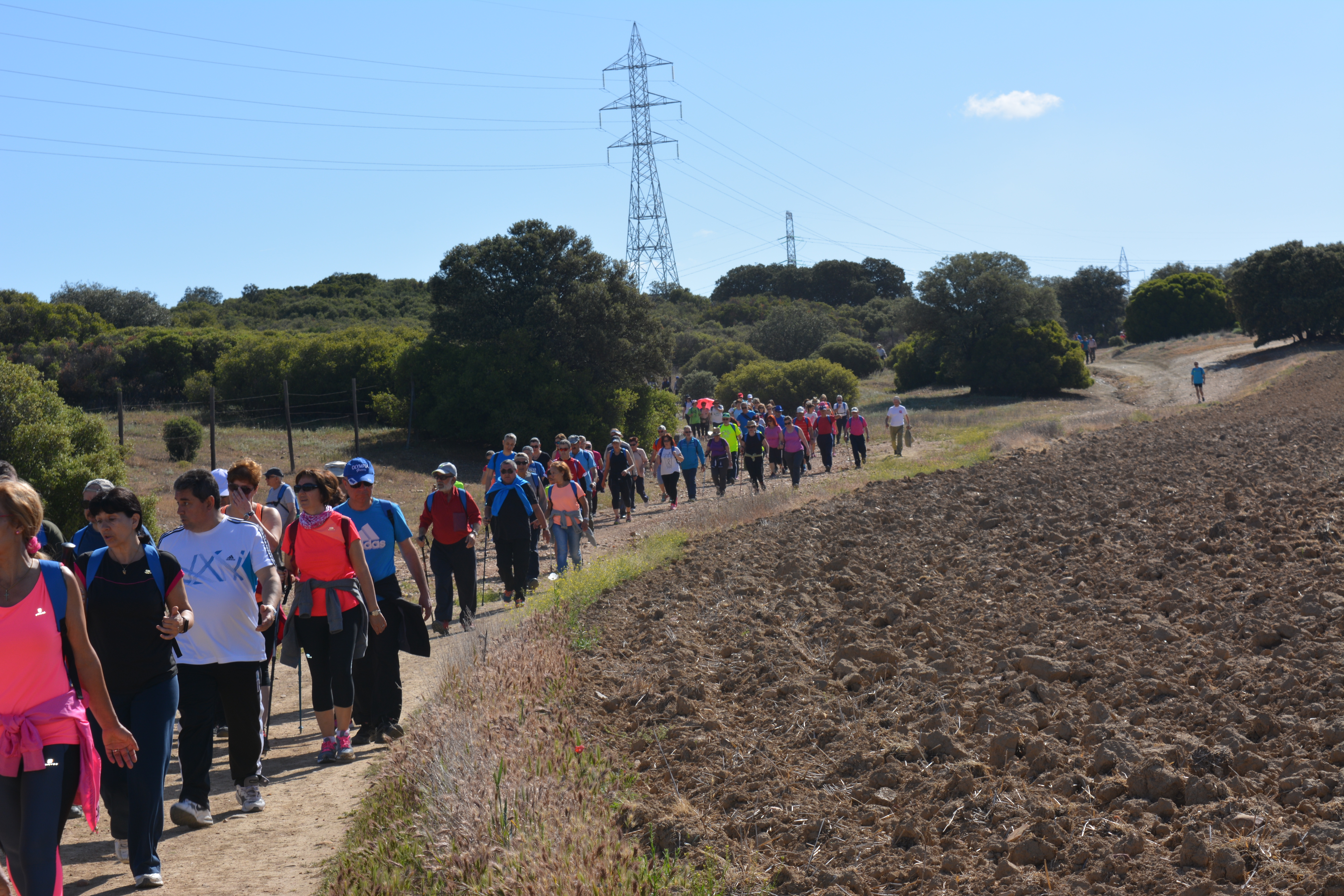 2017 II Camino de Cervantes