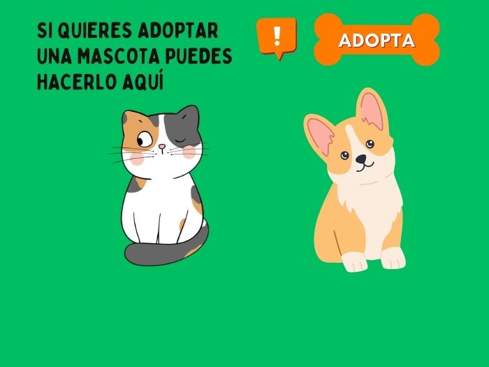 ¿Quieres adoptar?