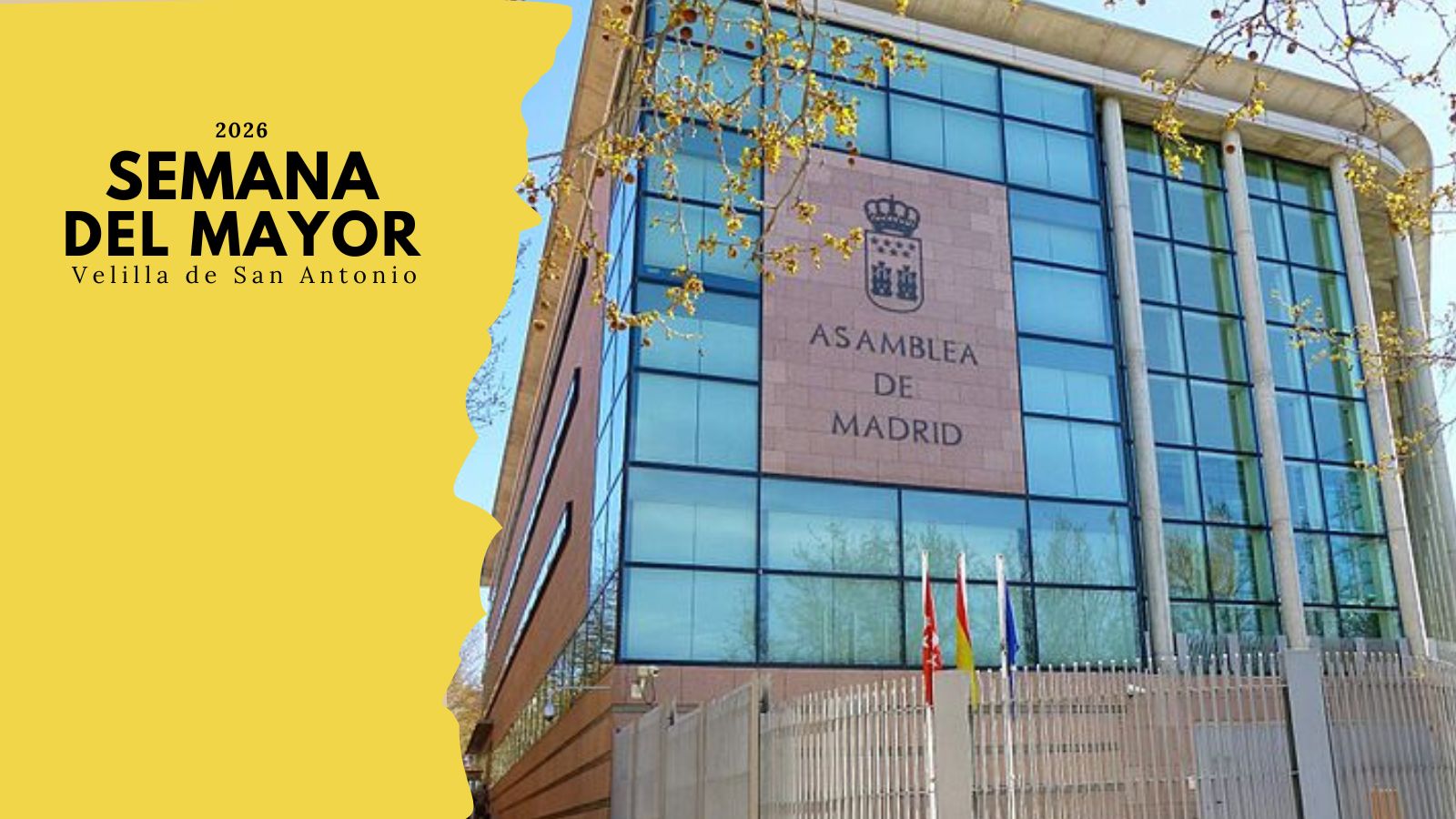 Visita Cultural a la Asamblea de Madrid