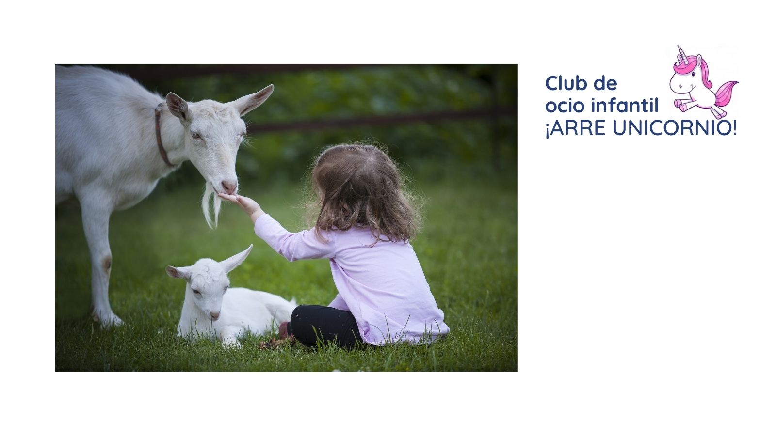 Club de ocio infantil ¡ARRE UNICORNIO! - La tribu nómada se va a la granja Club de ocio infantil ¡ARRE UNICORNIO! - La tribu nómada se va a la granja