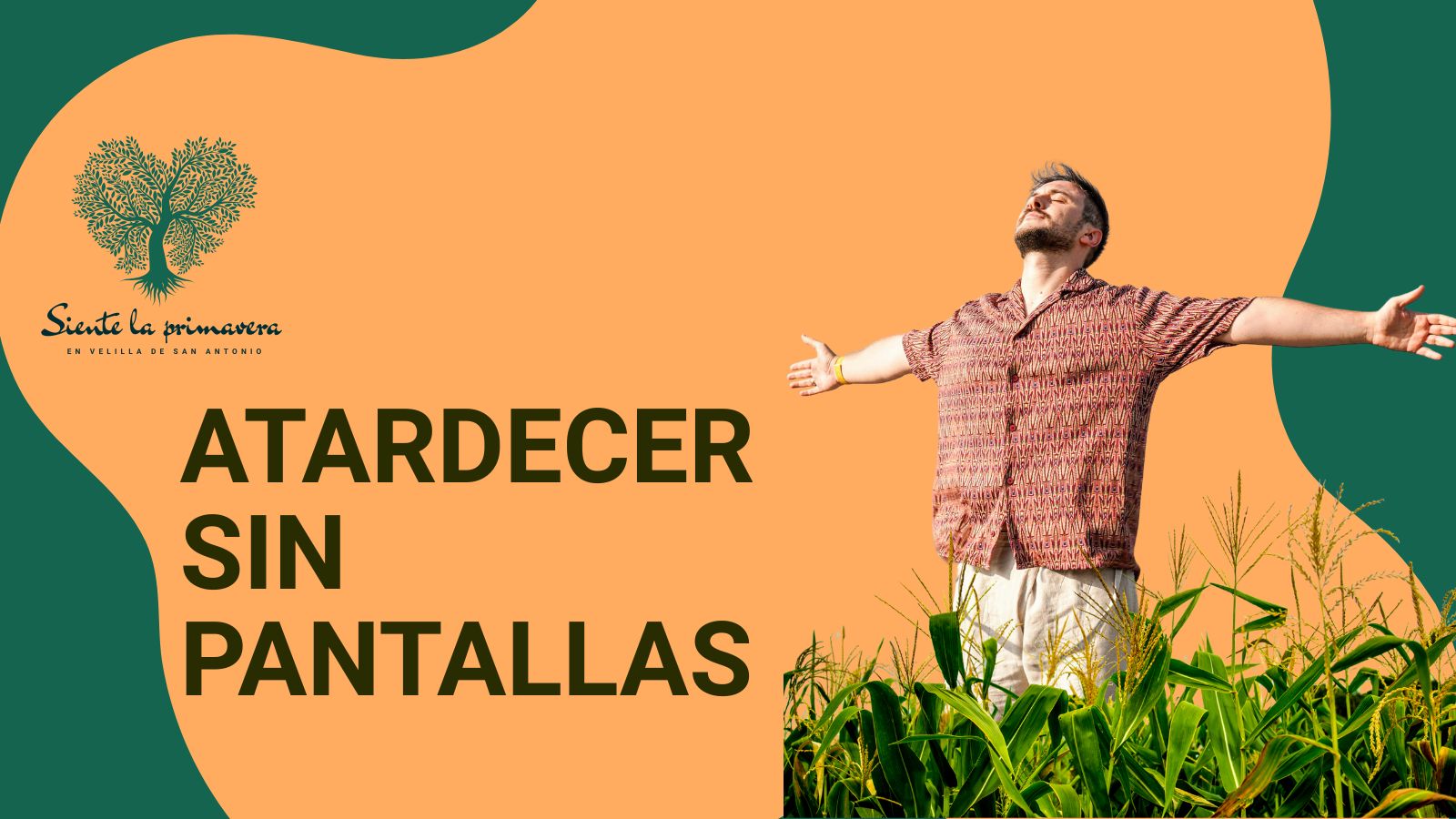 Atardecer sin pantallas