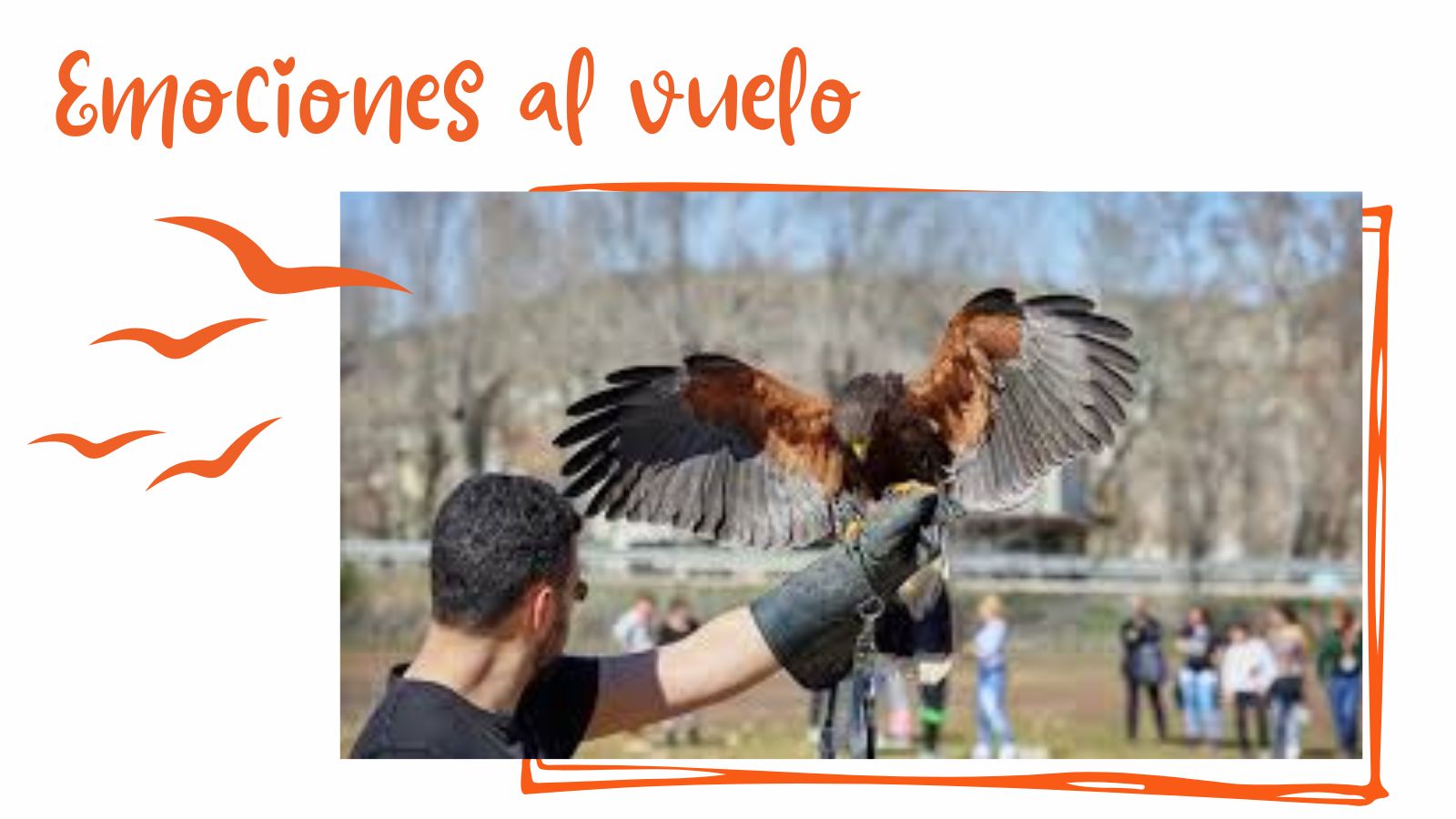 Emociones al vuelo Emociones al vuelo