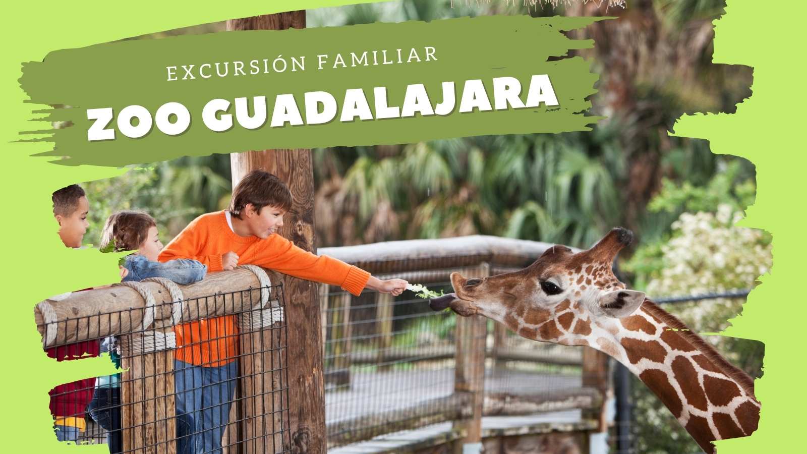 Excursión familiar al Zoo Excursión familiar al Zoo