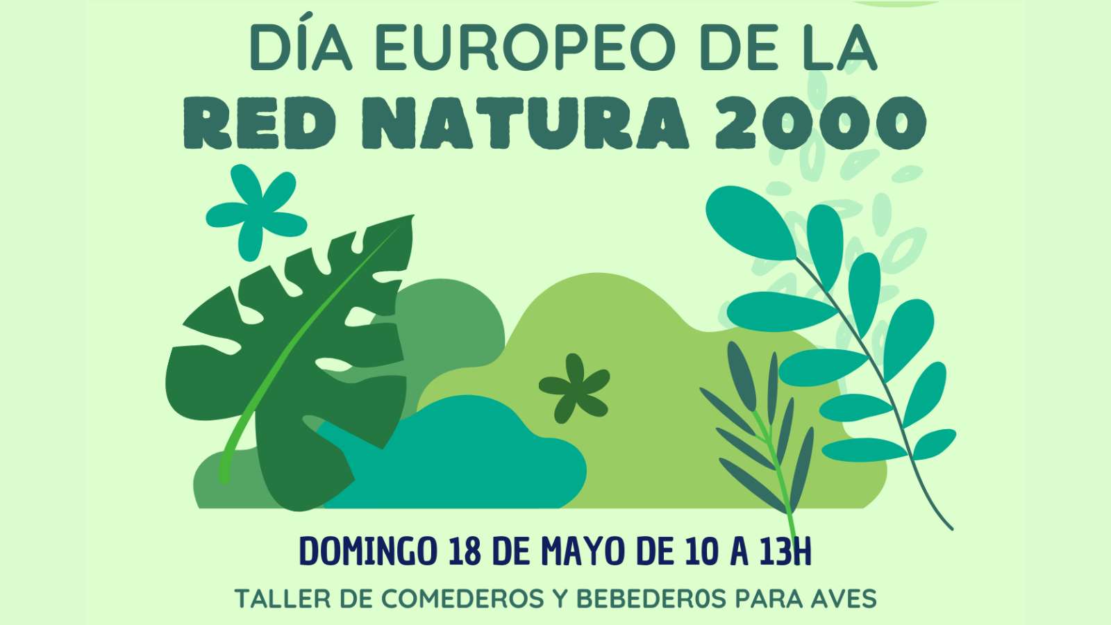 Taller de comederos y bebederos para aves