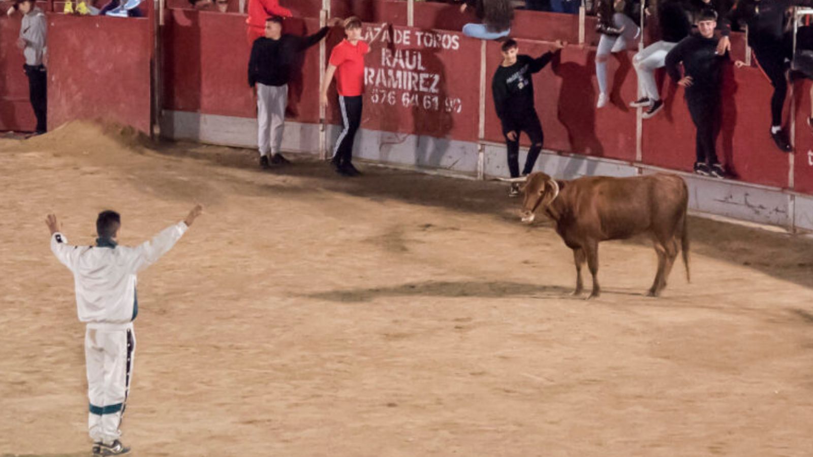 Suelta de vaquillas Suelta de vaquillas