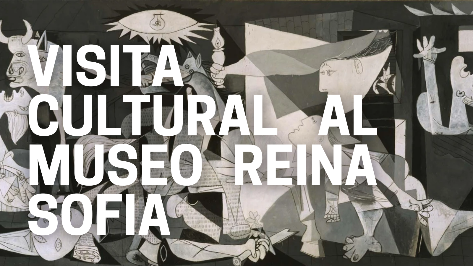Visita Cultural. Museo Reina Sofía