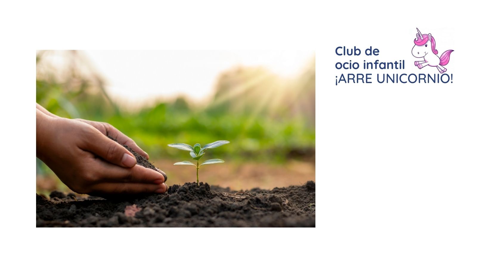 Club de ocio infantil ¡ARRE UNICORNIO! - Creando el árbol de los valores Club de ocio infantil ¡ARRE UNICORNIO! - Creando el árbol de los valores