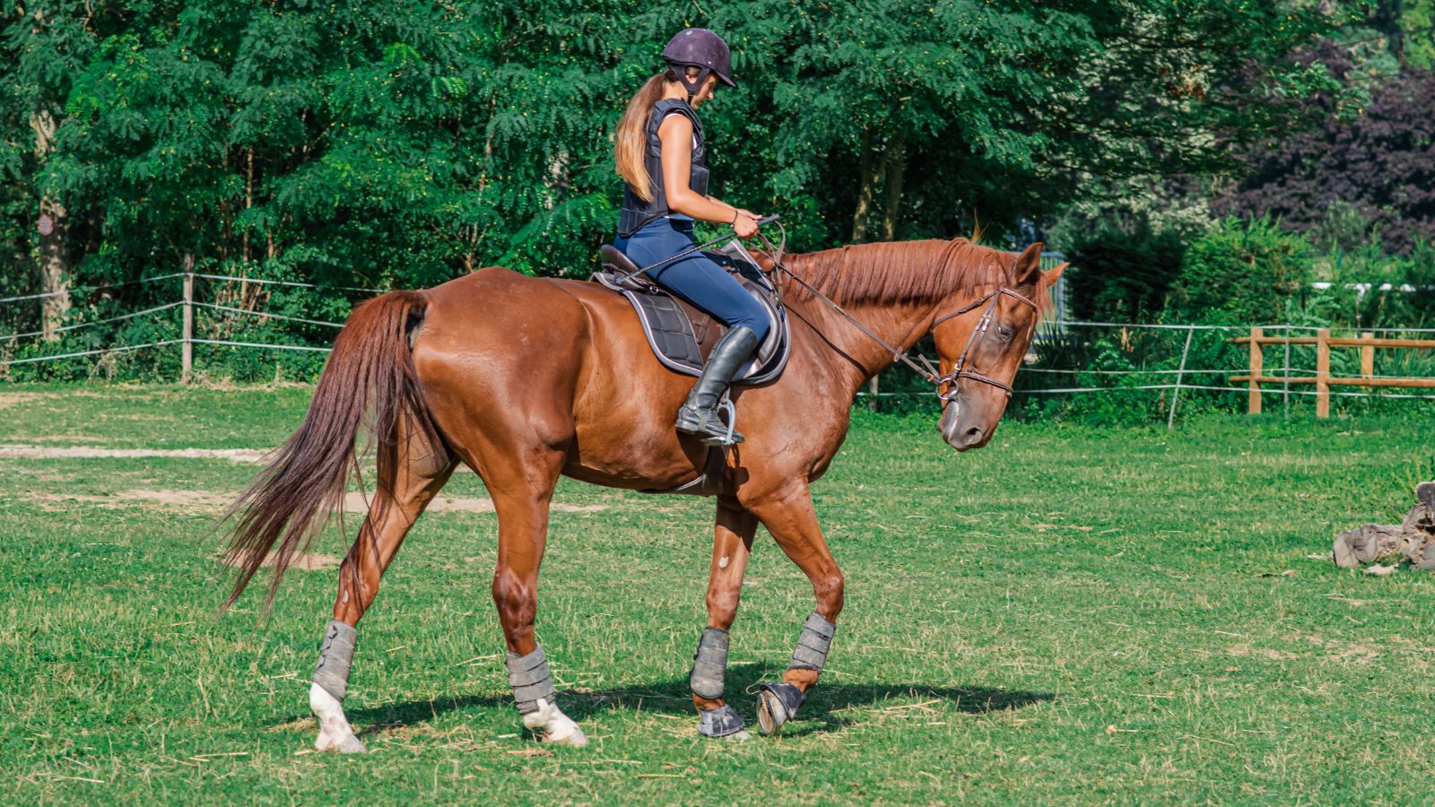 Ruta a caballo y visita a Buitrago de Lozoya Ruta a caballo y visita a Buitrago de Lozoya