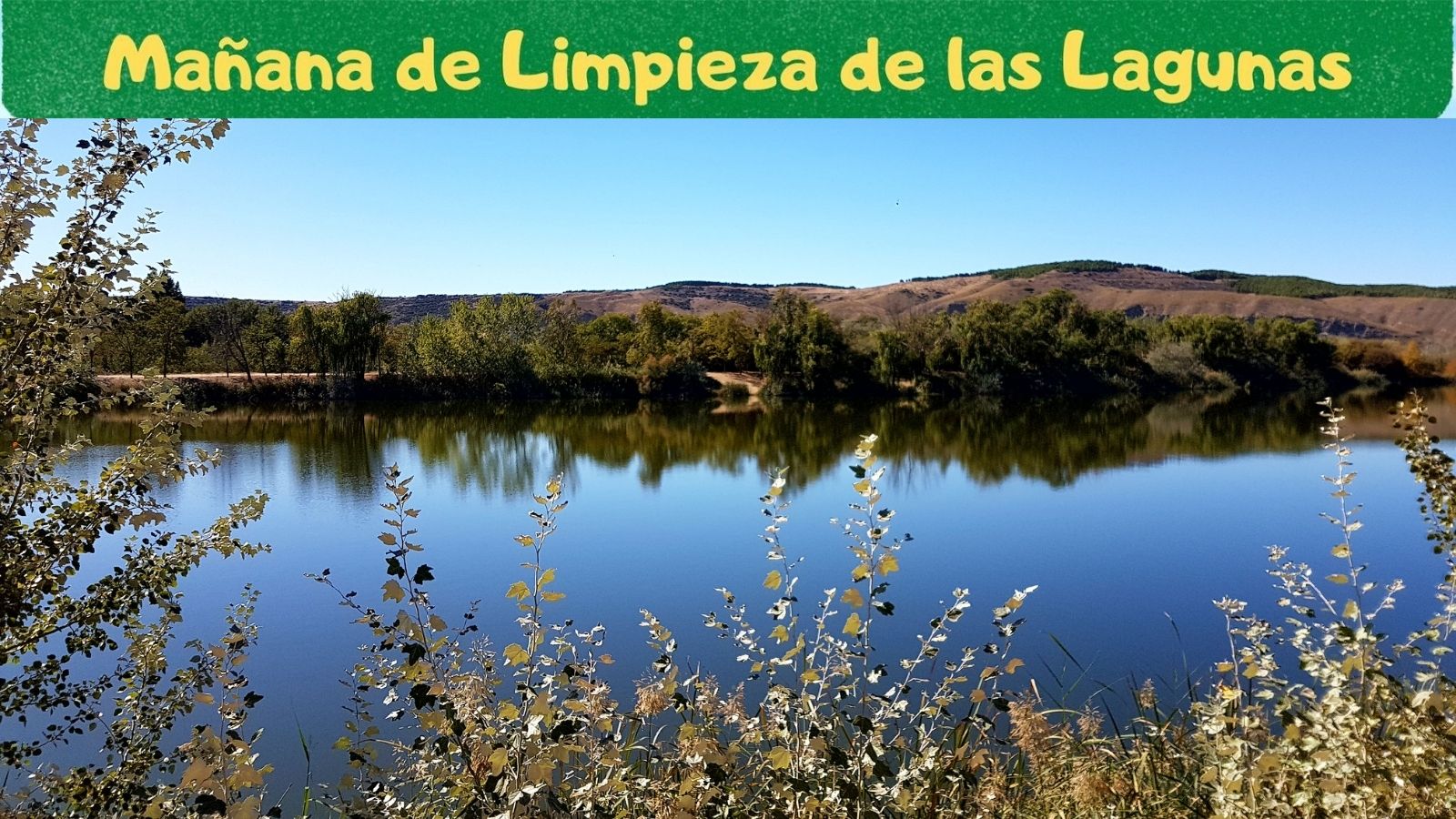 Mañana de limpieza en las lagunas de Velilla Mañana de limpieza en las lagunas de Velilla