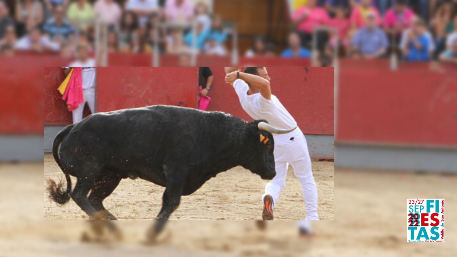 Concurso de recortadores Concurso de recortadores