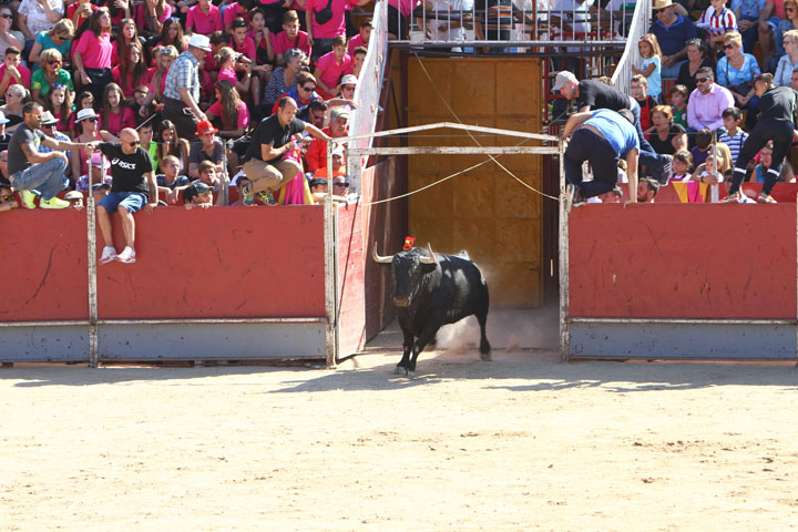 Fiestas Patronales (10)