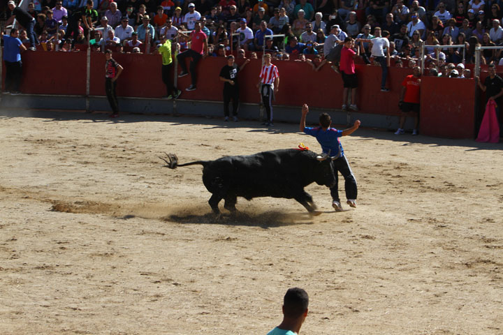 Fiestas Patronales (11)