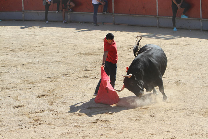 Fiestas Patronales (13)