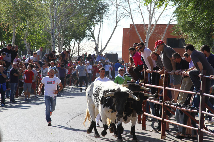 Fiestas Patronales (2)