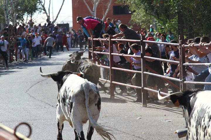 Fiestas Patronales (4)